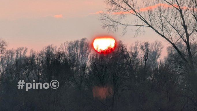 Sonnenuntergang hinter Baumlinien mit orangefarbenem Himmel.