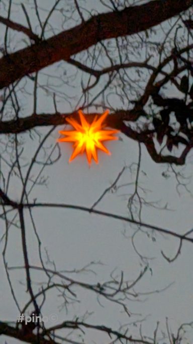 Leuchtender Stern an einem Baumast vor einem grauen Himmel.