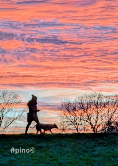 Läufer mit Hund vor einem bunten Sonnenuntergang.