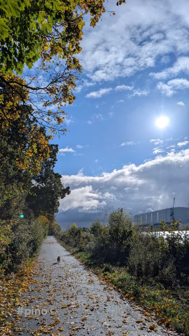 Sonniger Weg entlang eines Gewässers, umgeben von Bäumen und buntem Laub.