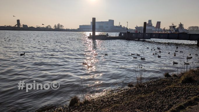 Ruhiger Fluss mit reflektierendem Licht, umgeben von Stadtlandschaft und Vögeln.