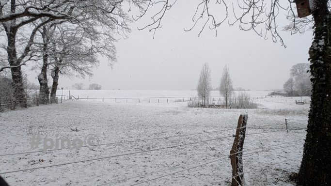 Verschneite Landschaft mit Bäumen im Nebel, ruhige Winterstimmung.
