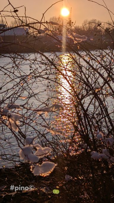Sonnenuntergang über dem Wasser, umgeben von kahlen Ästen und schneebedecktem Boden.