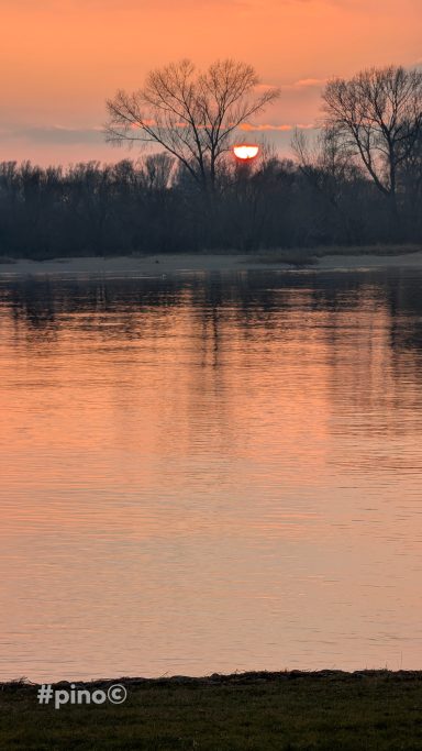 Sonnenuntergang über ruhigem Wasser, mit silhouettierten Bäumen im Hintergrund.