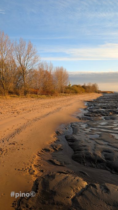 Strandlandschaft mit sandigem Ufer, Bäumen im Hintergrund und sanfter Wellenlinie.