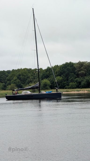 Segelboot auf ruhigem Wasser vor bewaldetem Ufer an einem grauen Tag.