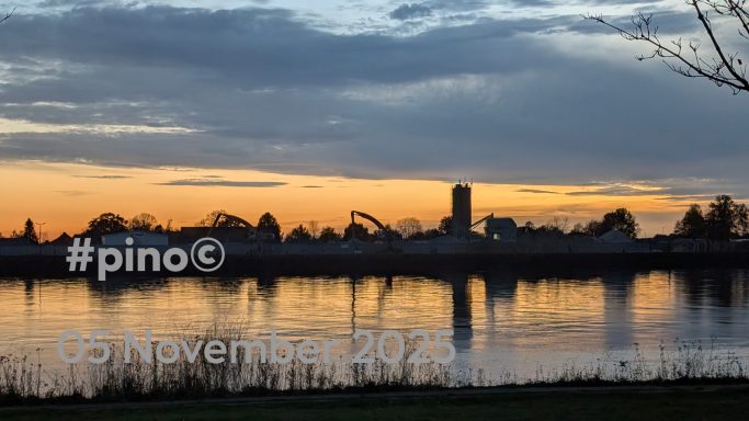 Sonnenuntergang über einem ruhigen Gewässer mit silhouettierten Bäumen im Vordergrund.