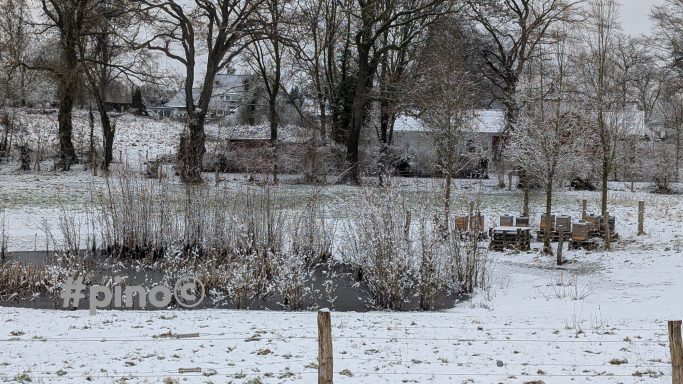 Landschaft mit schneebedecktem Boden, Bäumen und einem Teich im Hintergrund.