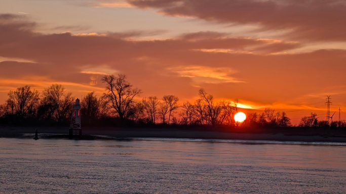 Sonnenuntergang am Wasser, silouettenhafte Bäume am Horizont.