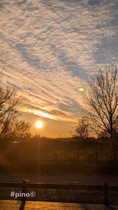 Sonnenuntergang hinter Bäumen mit Wolken am Himmel und warmen Farbtönen.