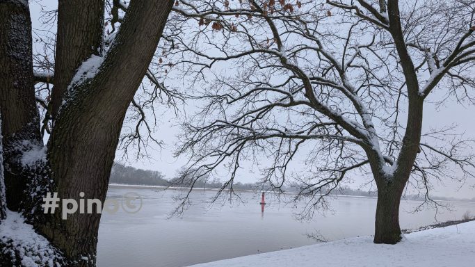 Schneebedeckte Bäume am Ufer eines gefrorenen Sees in winterlicher Landschaft.