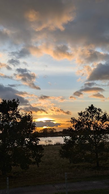 Sonnenuntergang über einem ruhigen See, umrahmt von Bäumen und bewölktem Himmel.