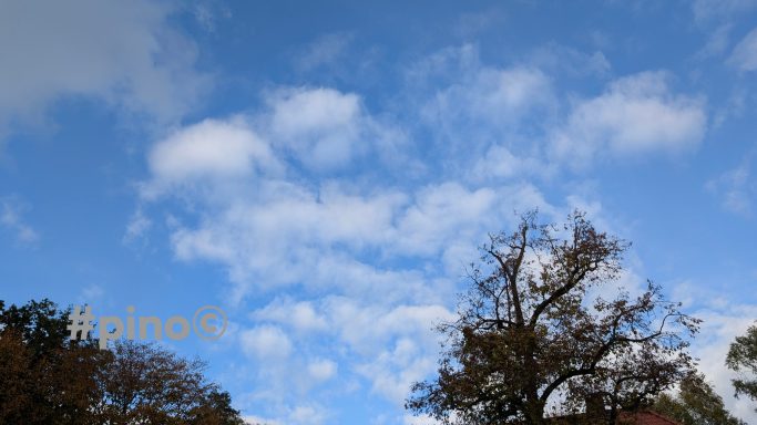 Heller Himmel mit einigen Wolken und silhouettierten Bäumen im Vordergrund.
