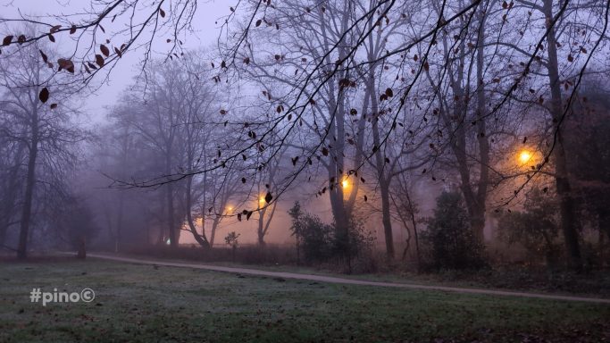 Dunstiger Park mit Bäumen und Warmlichtlaternen in der Dämmerung.