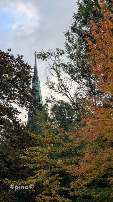 Spitze eines Kirchturms zwischen buntem Herbstlaub.