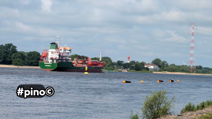 Großes Frachtschiff auf einem Fluss, umgeben von Bäumen und einer Industrieanlage im Hintergrund.