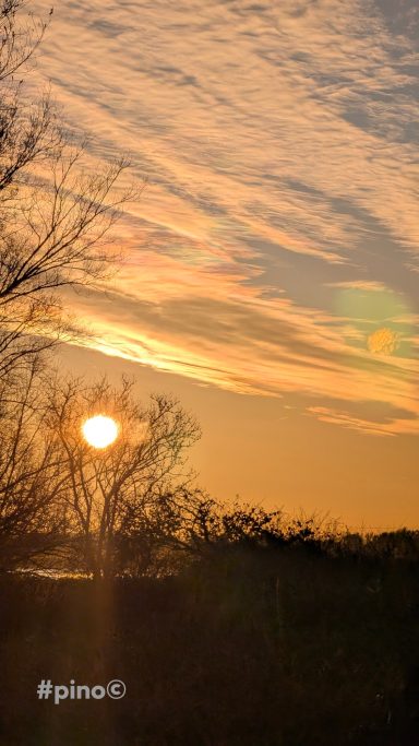 Sonnenuntergang hinter Bäumen mit orangefarbenem Himmel und sanften Wolken.