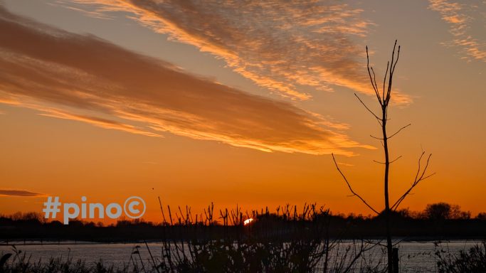 Sonnenuntergang mit orangefarbenem Himmel und silhouettierten Bäumen am Wasser.