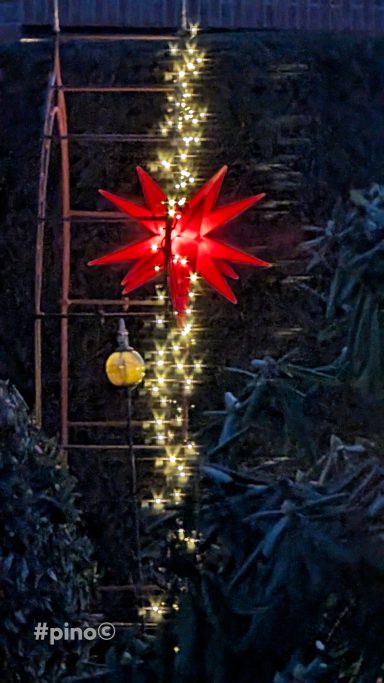 Leuchtende Weihnachtssterne und Lichter an einer Gartenstruktur in der Dämmerung.