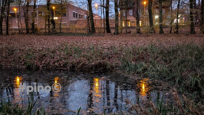 Ruhige Waldlandschaft mit einem Teich, reflektierenden Lichtern und herbstlichen Blättern.