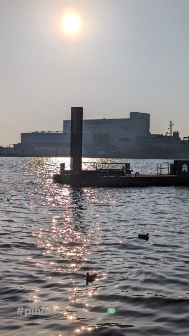 Sonnenaufgang über Wasser mit Spiegelungen, Gebäude im Hintergrund und Enten schwimmen.
