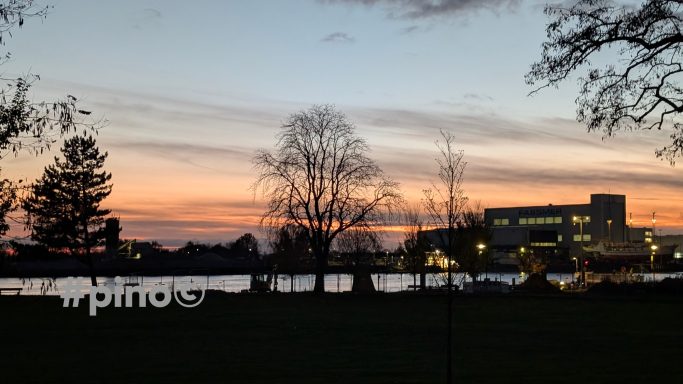 Sonnenuntergang über einer Wiese mit Bäumen und einem beleuchteten Gebäude im Hintergrund.