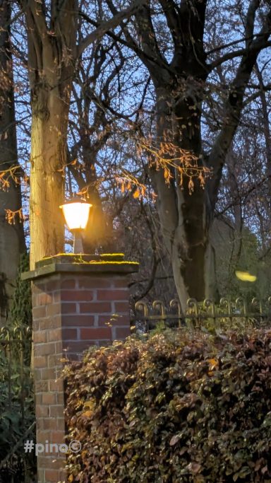Laterne leuchtet sanft neben einer Mauer, umgeben von Bäumen und Sträuchern.
