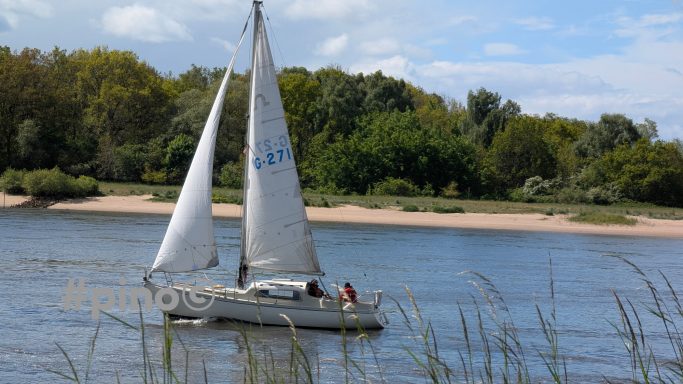 Ein Segelboot fährt auf einem ruhigen Fluss, umgeben von Bäumen und grünem Ufer.
