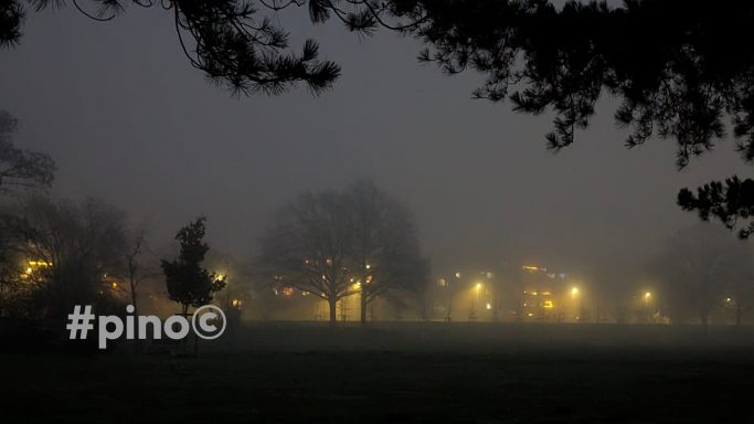 Verschneite Landschaft mit Bäumen und sanft leuchtenden Lichtern im Nebel.