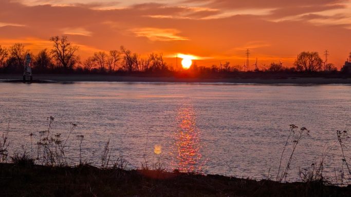 Sonnenuntergang über einem ruhigen Gewässer mit silbernem Glanz und silhouettierte Bäume.