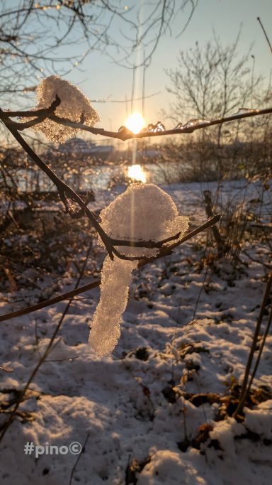Zwei Schneebälle hängen an Ästen, während die Sonne aufgeht und die Umgebung erleuchtet.