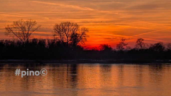 Sonnenuntergang über einem ruhigen Gewässer, silhouettierte Bäume im Vordergrund.