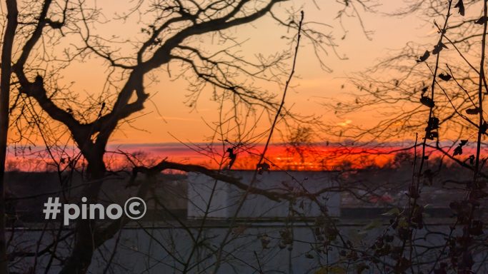 Sonnenuntergang mit orangefarbenem Himmel und silhouettierten Bäumen im Vordergrund.