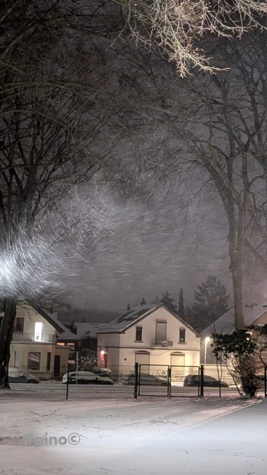 Schneebedeckte Straße mit Häusern und Bäumen im winterlichen Nachtlicht.