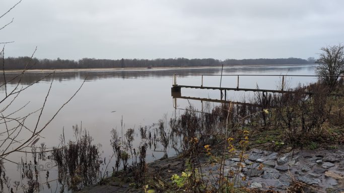 Ruhiger Fluss mit Holzsteg, umgeben von kahlen Uferpflanzen und bewölktem Himmel.