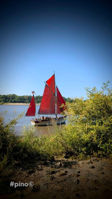 Ein Segelboot mit roten Segeln auf einem ruhigen Gewässer, umgeben von Bäumen.