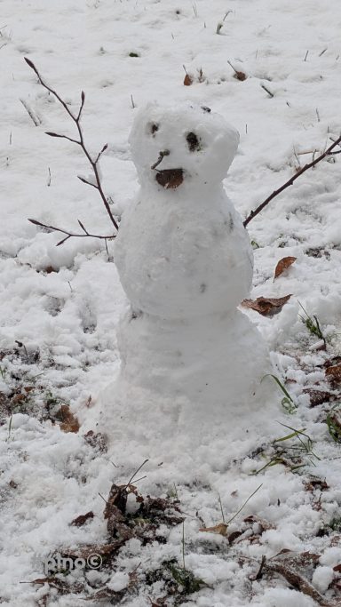 Kleiner Schneemann mit Zweigen als Arme und lächelndem Gesicht im Schnee.
