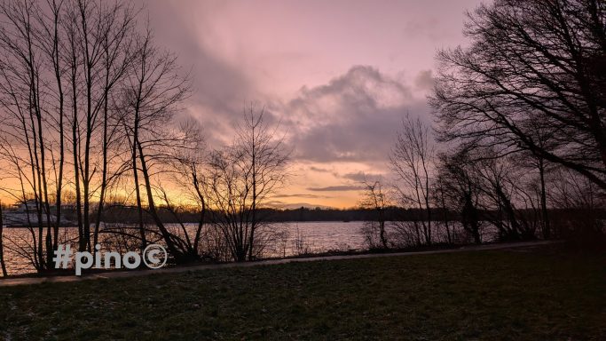 Sonnenuntergang über einem Gewässer mit siluettierenden Bäumen im Vordergrund.