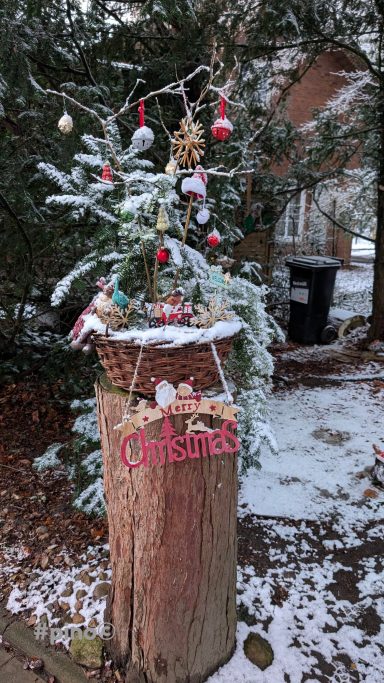 Weihnachtsbaum mit Dekoration, umgeben von Schnee, auf einem Baumstumpf.