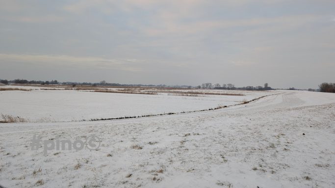 Winterlandschaft mit schneebedeckten Feldern und bewölktem Himmel.