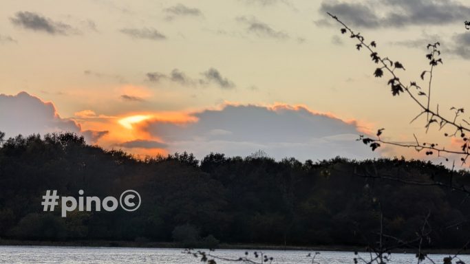 Sonnenuntergang hinter Wolken mit silhouettiertem Wald im Vordergrund.