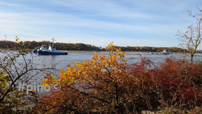 Herbstliche Uferlandschaft mit buntem Laub und einem Schiff auf dem Wasser.