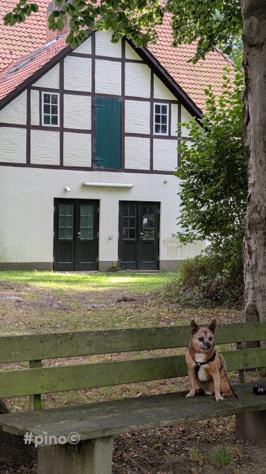 Schloß Schönebeck mit PINO