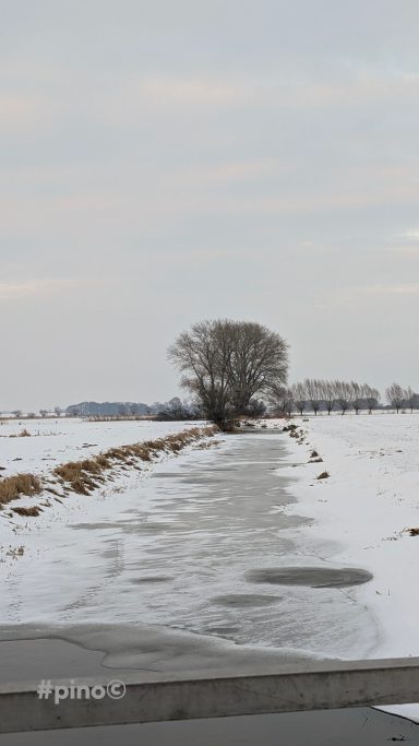 Schneebedeckter Weg mit einem Baum in der Ferne und bewölktem Himmel.
