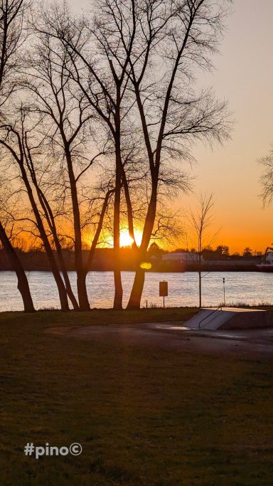 Sonnenuntergang hinter Bäumen am Ufer eines Gewässers.