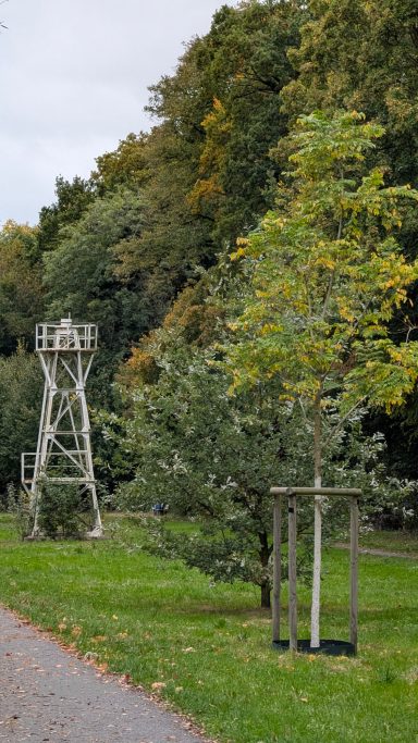 Wachtturm neben einem Baum in einer grünen Parklandschaft.