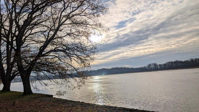 Bäume am Ufer mit reflektierendem Wasser und bewölktem Himmel im Hintergrund.