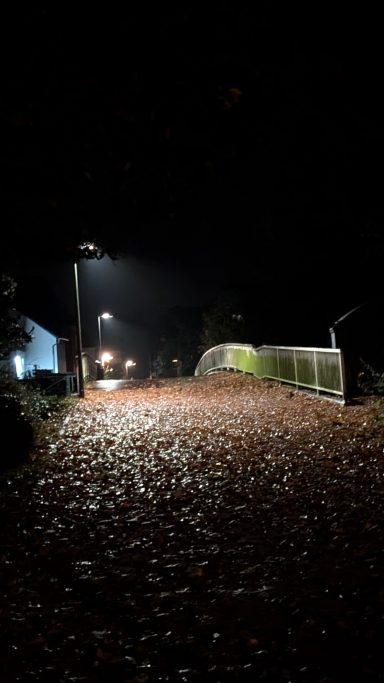 Schmale Straße bei Nacht, umgeben von Laub und schwachem Licht von Laternen.