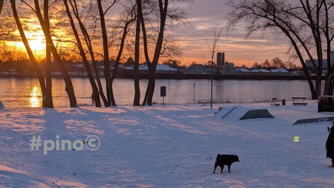 Winterlandschaft mit Sonnenuntergang, schneebedecktem Boden und einem schwarzen Hund.