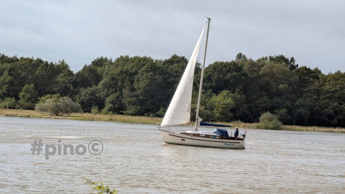 Segelboot fährt ruhig auf einem Fluss, umgeben von Bäumen und bewölktem Himmel.